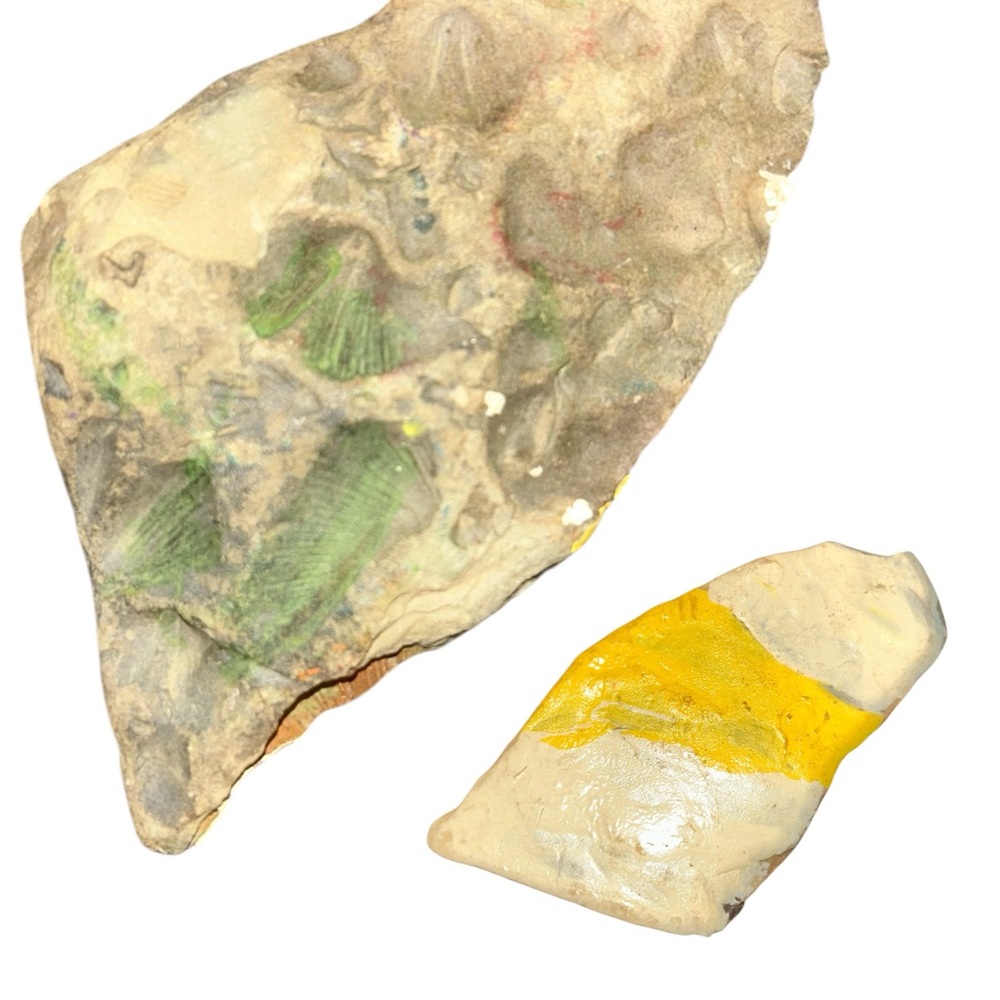 Fossil stone